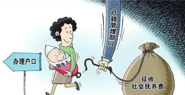 借卵生子违法吗-借卵生子违法吗？解读法律与伦理的边界
