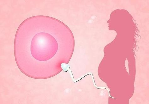 借卵生子到哪里做【借卵生子:选择何处才是最佳之地】
