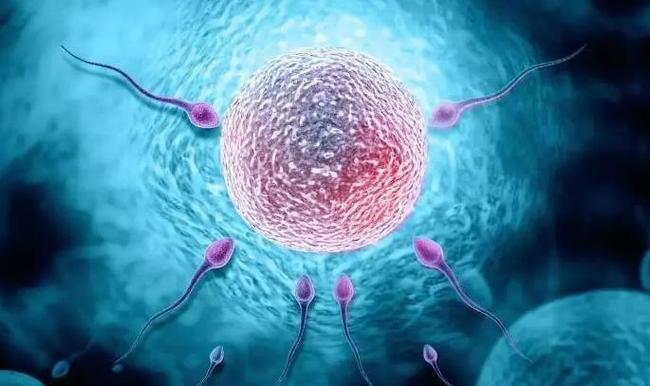 湖南试管代生男孩【湖南试管代生男孩:科技助力实现家庭梦想】