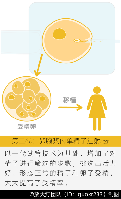 借卵子哪里有【借卵子哪里有：探寻代孕市场的真相】