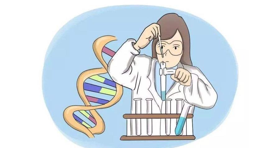 代生儿子费用【代生儿子费用:选择合适的方式来实现您的梦想】