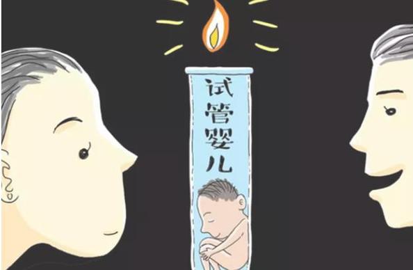 试管供卵代生男孩_试管婴儿:代孕男孩计划